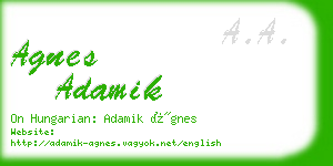 agnes adamik business card